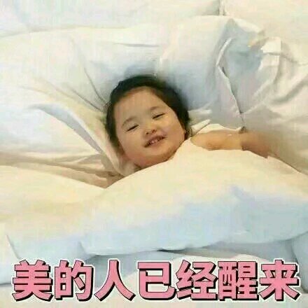 聊天调侃斗图表情包