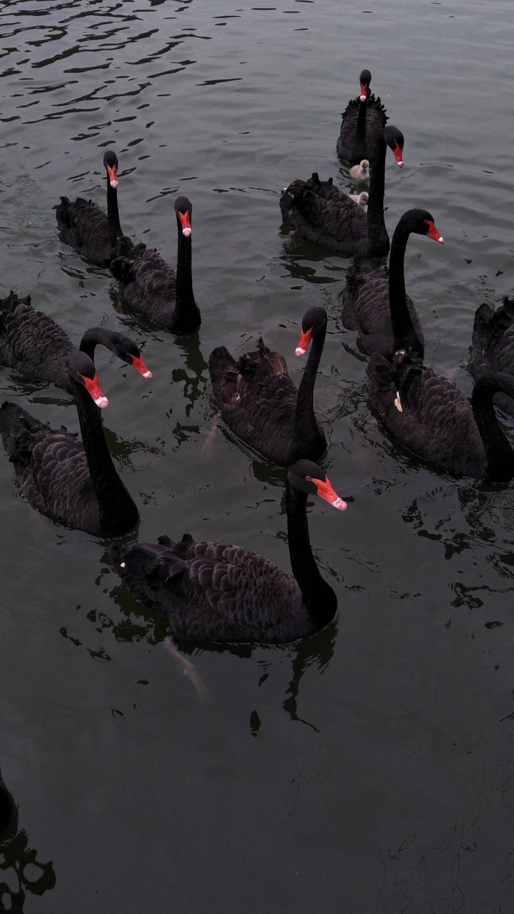 微信文艺好看聊天背景