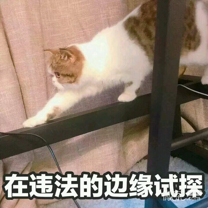 微信搞怪滑稽喵星人斗图表情包