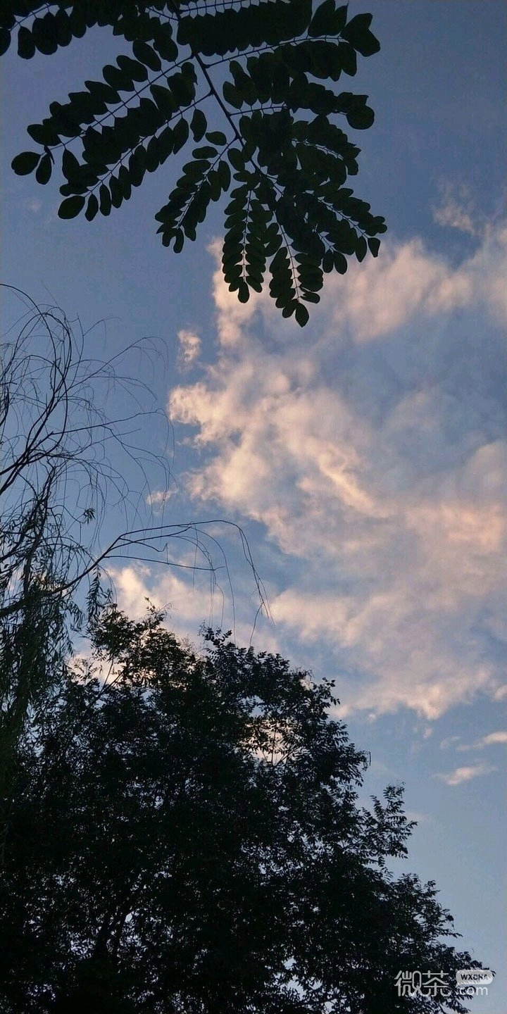微信唯美梦幻简洁聊天背景