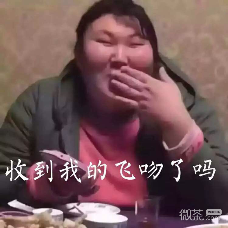 微信聊天斗图表情包