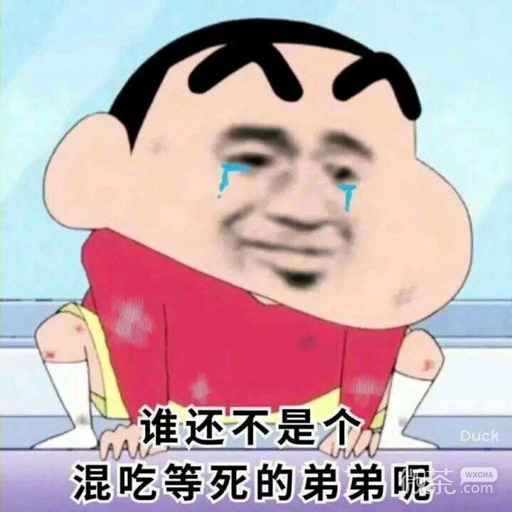 微信恶搞傻屌撕逼套系表情包