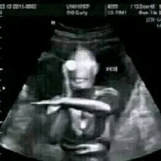 微信搞怪聊天调侃斗图表情包