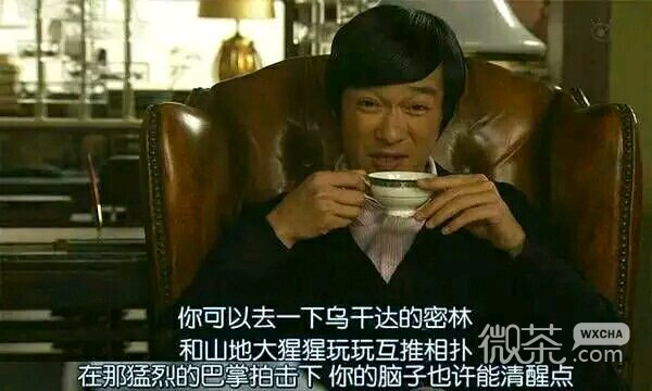 微信近期斗图恶搞表情包2019/3/14
