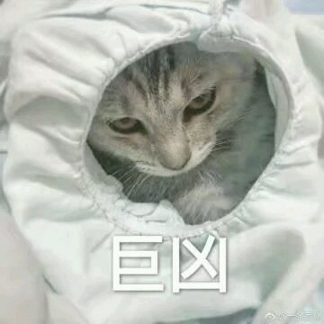 微信搞怪滑稽喵星人斗图表情包