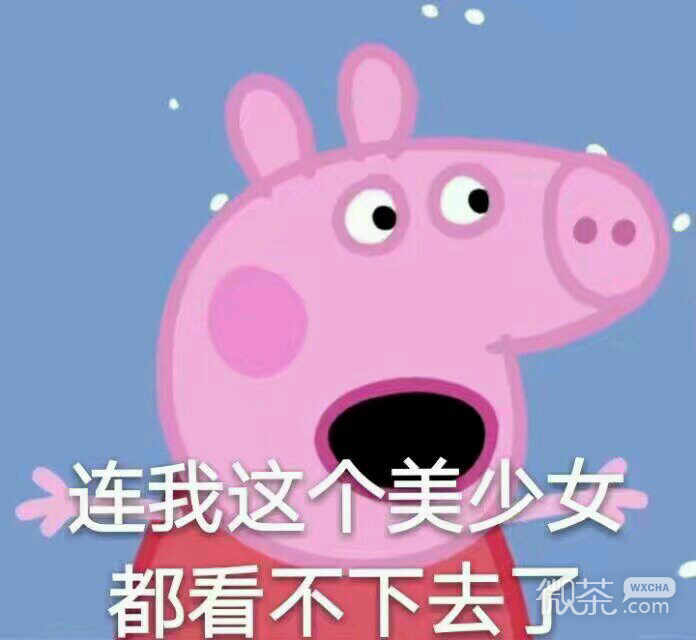 聊天调侃撕逼斗图微信表情包
