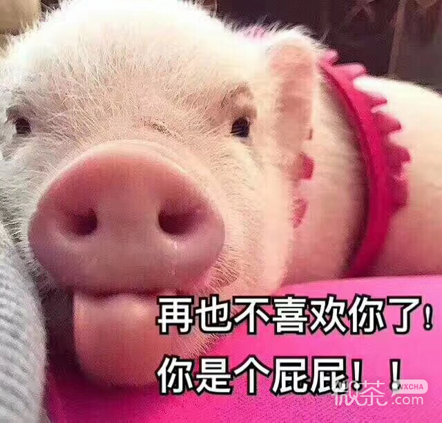 聊天调侃撕逼斗图微信表情包