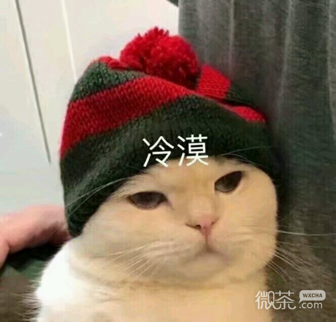 微信搞怪滑稽喵星人斗图表情包
