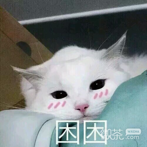 微信搞怪滑稽喵星人斗图表情包