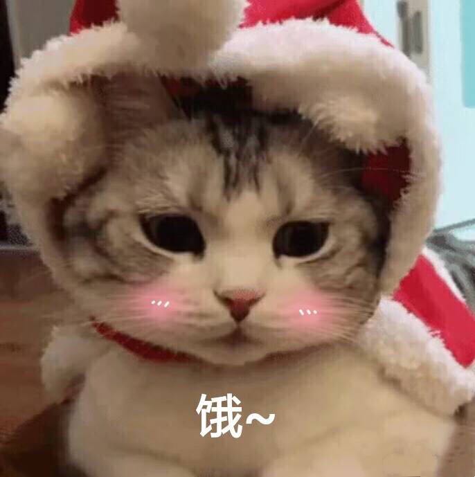 微信幽默斗图表情包