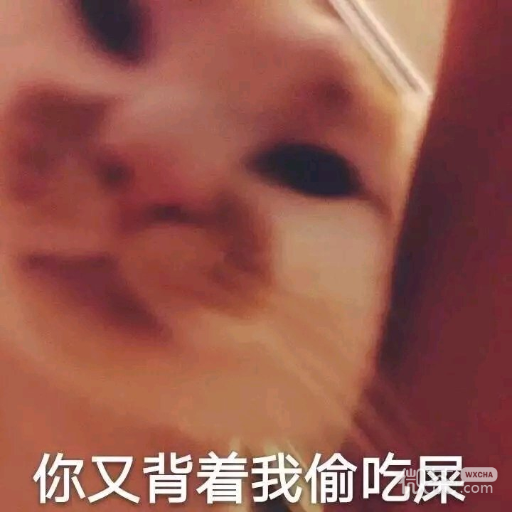微信幽默套系傻屌斗图表情包