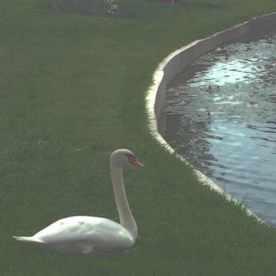 微信好看唯美文艺意境风景头像