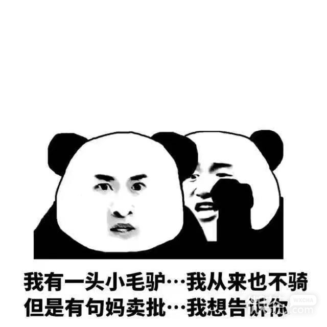 微信恶搞傻屌合集斗图表情包
