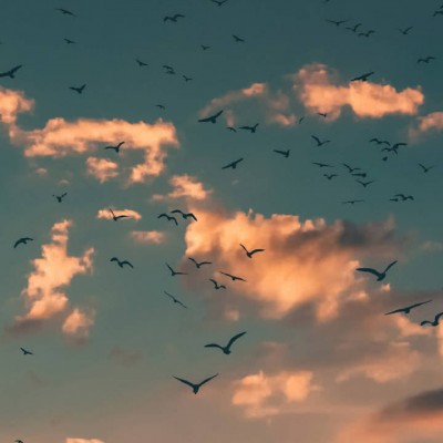 微信好看唯美文艺意境风景头像