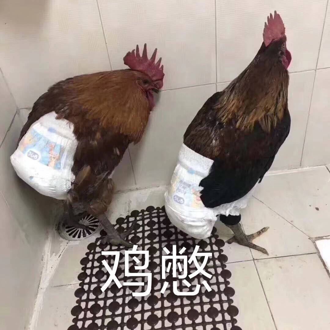 微信幽默斗图表情包