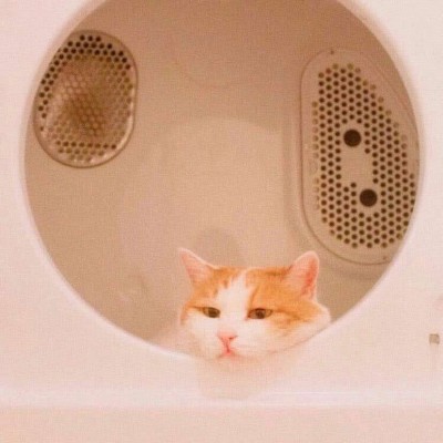 微信好看唯美文艺意境风景头像