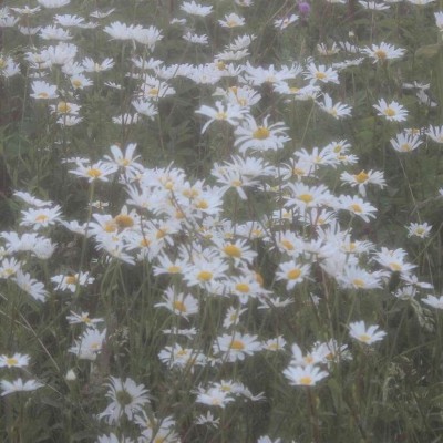 微信好看唯美文艺意境风景头像