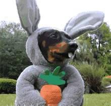 微信恶搞笑死了斗图GIF表情包