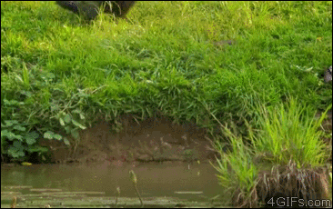 微信恶搞笑死了斗图GIF表情包