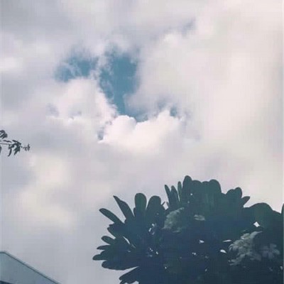 微信好看唯美文艺意境风景头像