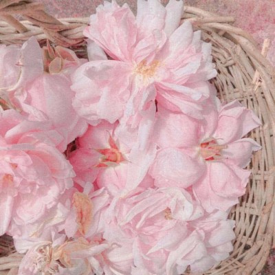 微信好看唯美文艺意境风景头像