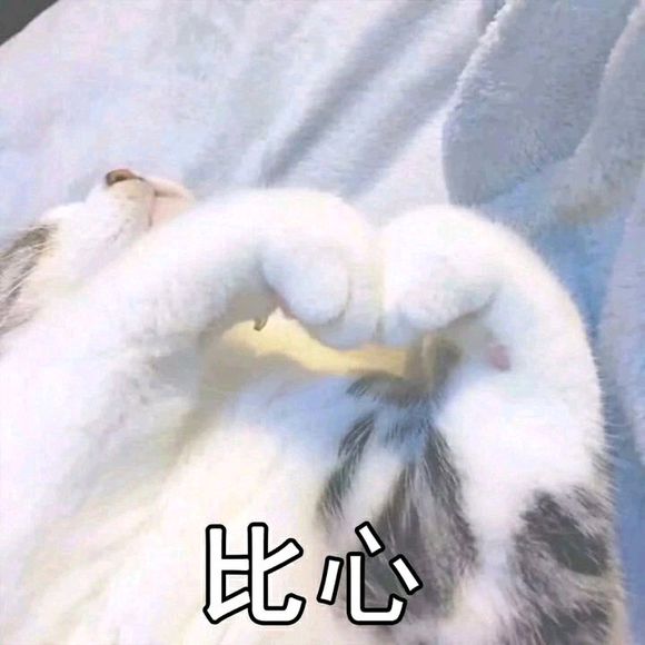 微信可爱傻屌斗图表情包合集