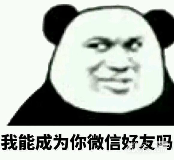 微信笑死了逗比斗图表情包