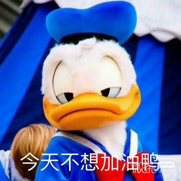 微信笑死了逗比斗图表情包