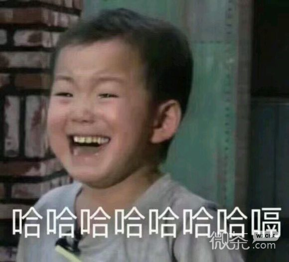 微信笑死了逗比斗图表情包