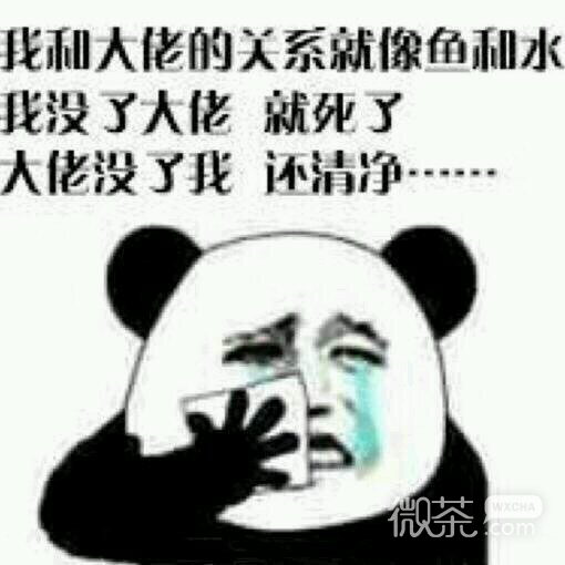 微信笑死了逗比斗图表情包