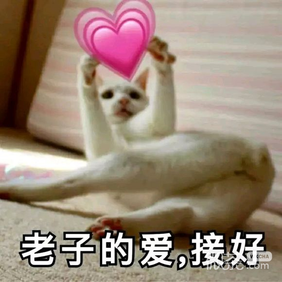 微信笑死了逗比斗图表情包