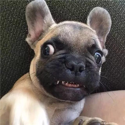 微信搞笑恶搞逗比头像