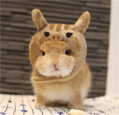 微信搞笑恶搞逗比头像