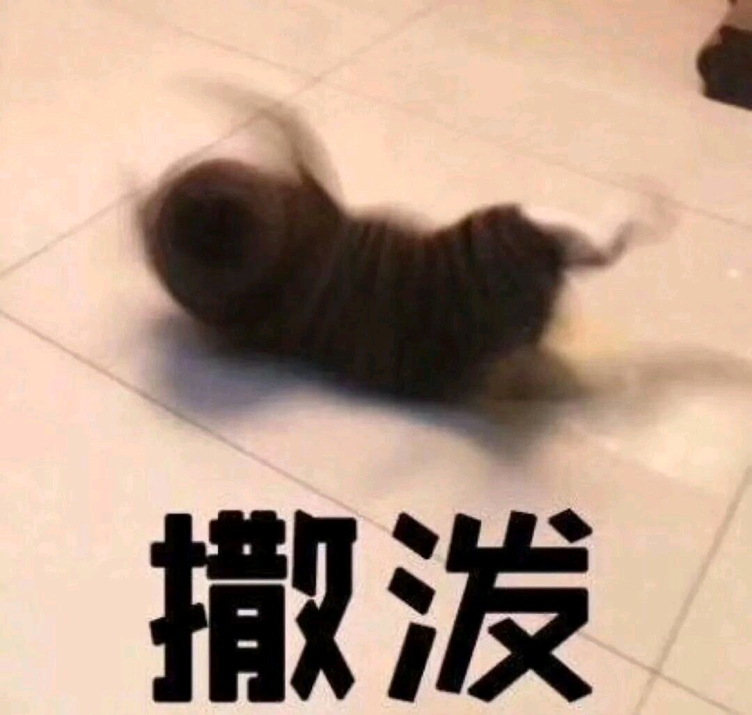 微信恶搞虐狗斗图表情包