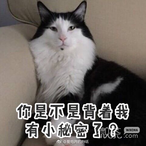 优秀啊微信恶搞斗图表情包