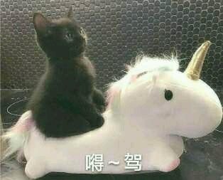 消息可靠吗微信恶搞表情包