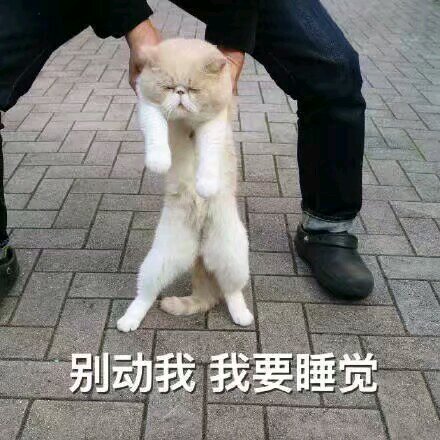 未成年的目光微信恶搞斗图表情包