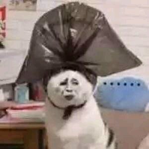 微信套系恶搞傻屌斗图表情包