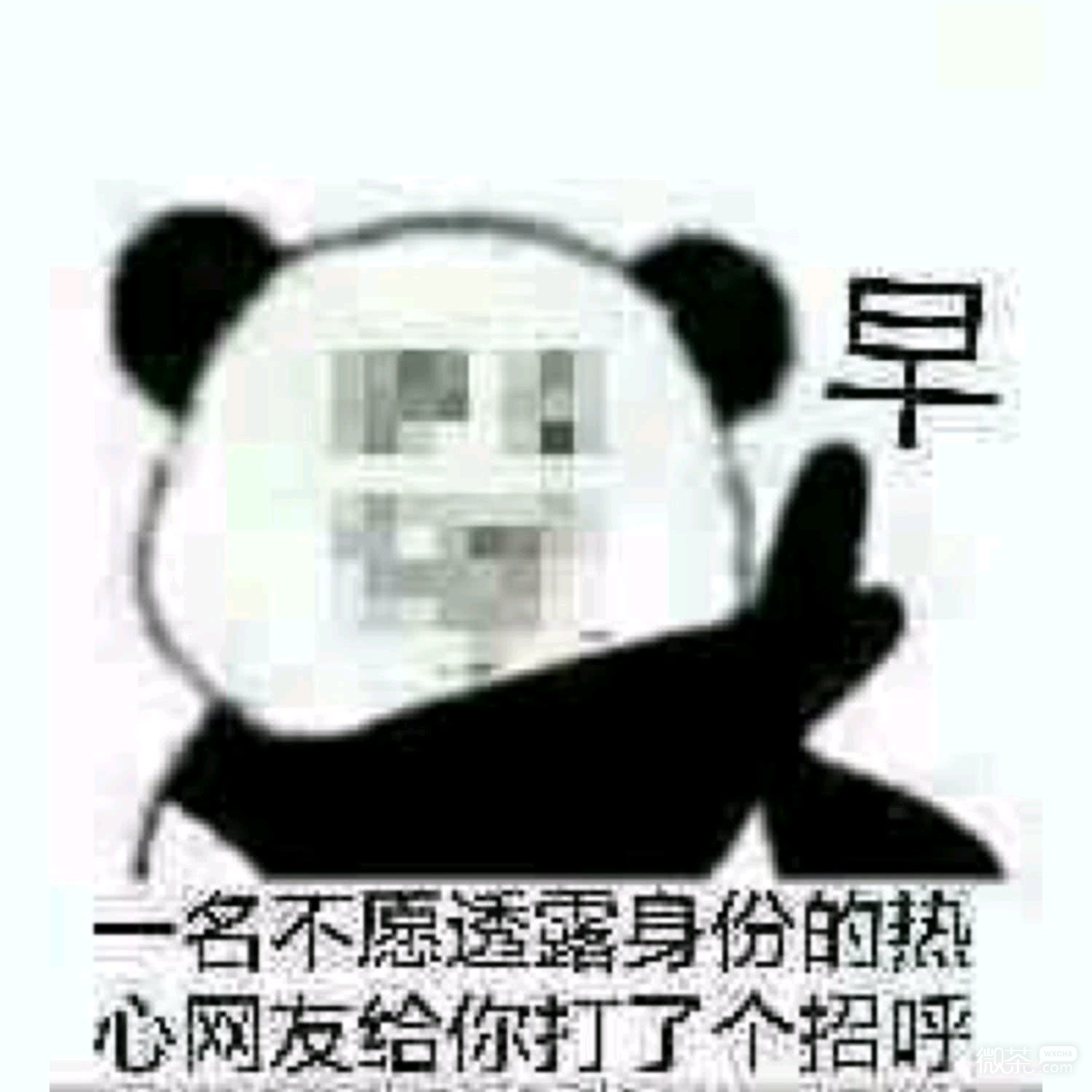 未成年的目光微信恶搞斗图表情包