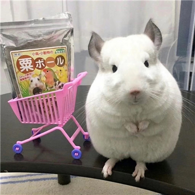 微信搞笑恶搞逗比头像