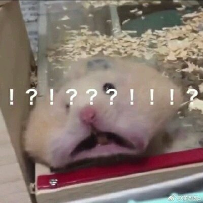 微信恶搞舔狗傻屌斗图表情包