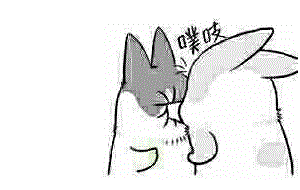 消息可靠吗微信恶搞表情包