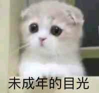 未成年的目光微信恶搞斗图表情包