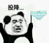 消息可靠吗微信恶搞表情包