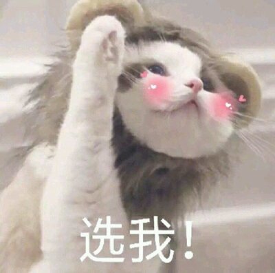 微信恶搞舔狗傻屌斗图表情包