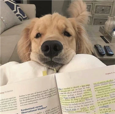 微信搞笑恶搞逗比头像