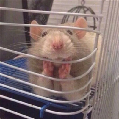 微信搞笑恶搞逗比头像