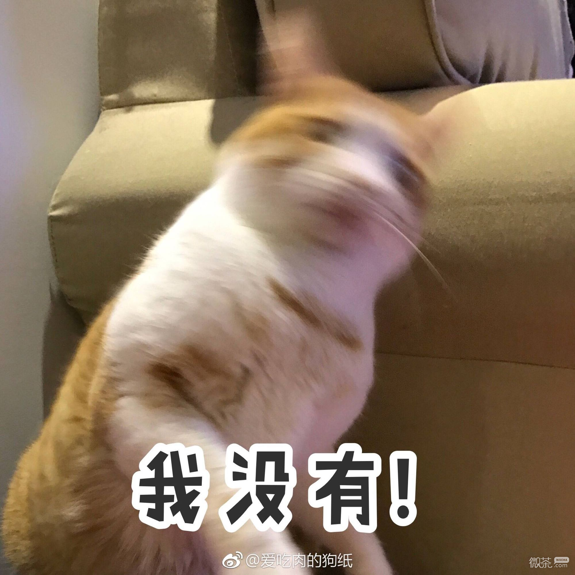 优秀啊微信恶搞斗图表情包