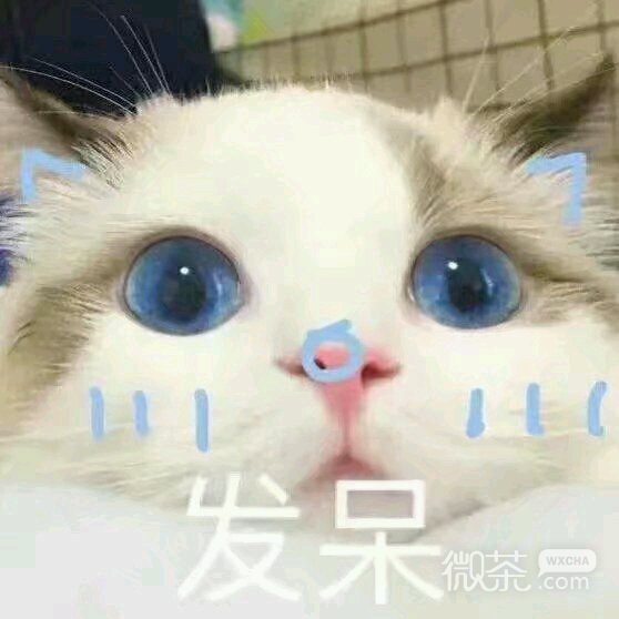 笑死了傻屌斗图微信表情包