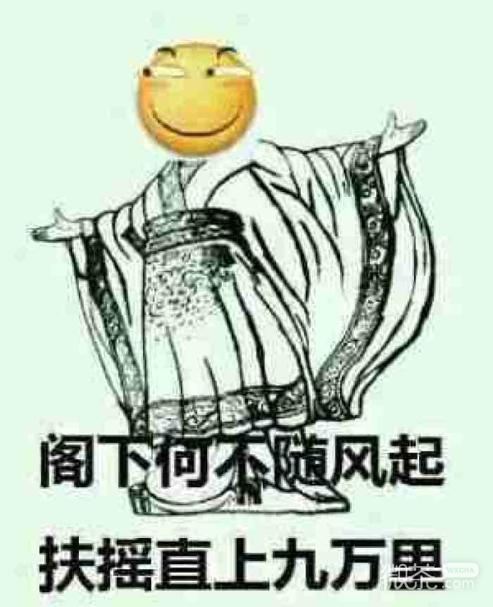 微信傻屌爆笑恶搞滑稽斗图表情包